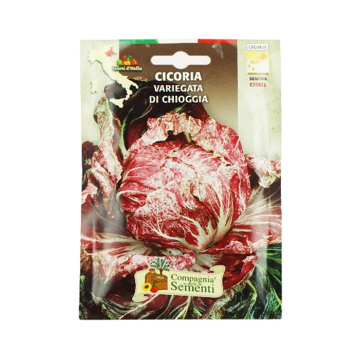 BUSTA ORTO CICORIA VARIEGATA DI GHIOGGIA