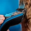 PHILIPS REGOLACAPELLI DURA POWER SERIE NERO 5000 