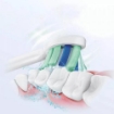 SONICARE PRORESULTS STANDARD 2 TESTINE