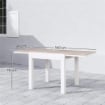 TAVOLO DA PRANZO DA GIARDINO ALLUNGABILE 80-160 CM PER 4-6 POSTI BIANCO
