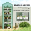 SERRA PER PIANTE A 5 LIVELLI CON PORTA A ZIP, IN ACCIAIO E PE, 69X49X193 CM, VERDE