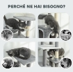 ALBERO TIRAGRAFFI PER GATTI CON 2 CASETTE, RAMPA, TRESPOLI E 4 PALLINE, 48X40X165 CM, GRIGIO E BIANCO