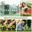 SERRA PER ORTO 3X2X2M IN ACCIAIO E COPERTURA PE, PORTE CON ZIP E FINESTRE A RETE, VERDE