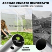 SERRA A TUNNEL 3X6X2 M CON PORTE AVVOLGIBILI, TELAIO IN ACCIAIO E COPERTURA IN PE ANTI-UV, TRASPARENTE