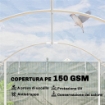 SERRA A TUNNEL 3X6X2 M CON PORTE AVVOLGIBILI, TELAIO IN ACCIAIO E COPERTURA IN PE ANTI-UV, TRASPARENTE
