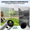 SERRA A TUNNEL 3X4X2 M CON PORTE AVVOLGIBILI, TELAIO IN ACCIAIO E COPERTURA IN PE ANTI-UV, TRASPARENTE