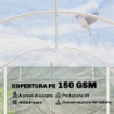 SERRA A TUNNEL 3X4X2 M CON PORTE AVVOLGIBILI, TELAIO IN ACCIAIO E COPERTURA IN PE ANTI-UV, TRASPARENTE