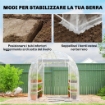 SERRA A TUNNEL 2X3X2 M CON PORTE AVVOLGIBILI, TELAIO IN ACCIAIO E COPERTURA IN PE ANTI-UV, TRASPARENTE