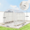 SERRA A TUNNEL 2X3X2 M CON PORTE AVVOLGIBILI, TELAIO IN ACCIAIO E COPERTURA IN PE ANTI-UV, TRASPARENTE