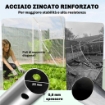 SERRA A TUNNEL 2X3X2 M CON PORTE AVVOLGIBILI, TELAIO IN ACCIAIO E COPERTURA IN PE ANTI-UV, TRASPARENTE