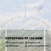 SERRA A TUNNEL 2X3X2 M CON PORTE AVVOLGIBILI, TELAIO IN ACCIAIO E COPERTURA IN PE ANTI-UV, TRASPARENTE