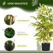 PIANTA DI BAMBU ARTIFICIALE ALTA 60 CM IN POLIESTERE E PP VERDE CON VASO IN CEMENTO Ï15X12.5 CM