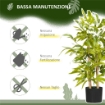 PIANTA DI BAMBU ARTIFICIALE ALTA 60 CM IN POLIESTERE E PP VERDE CON VASO IN CEMENTO Ï15X12.5 CM