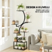 PORTAPIANTE A 8 LIVELLI CON DESIGN A S PER INTERNI ED ESTERNI, IN METALLO, 74X26X158.5 CM, NERO