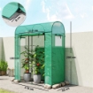 SERRA DA GIARDINO CON RIVESTIMENTO IN PE, PORTA AVVOLGIBILE E FINESTRE A RETE, 170X68X200 CM, VERDE