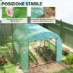 SERRA A TUNNEL PER ORTO 3X3X2 M IN ACCIAIO E PE ANTI UV CON PORTE AVVOLGIBILI E FINESTRE, VERDE