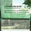 SERRA A TUNNEL PER ORTO 3X3X2 M IN ACCIAIO E PE ANTI UV CON PORTE AVVOLGIBILI E FINESTRE, VERDE