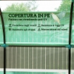 SERRA A TUNNEL PER ORTO 3X2X2 M IN ACCIAIO E PE ANTI UV CON PORTE AVVOLGIBILI E FINESTRE, VERDE