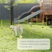 SET 4 OSTACOLI AGILITY DOG PER ADDESTRAMENTO CANI AD ALTEZZA REGOLABILE CON BORSA DA TRASPORTO, GIALLO