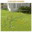 SET AGILITY DOG CON ANELLO E BARRA PER SALTO, PALETTI SLALOM, FISCHIETTO, PALLINE E BORSA, ARANCIONE