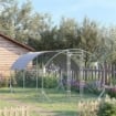 RECINTO PER GALLINE IN METALLO GALVANIZZATO CON TETTO E COPERTURA ANTI UV, 280X380X197 CM, ARGENTO