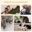 ALBERO TIRAGRAFFI PER GATTI ADULTI CON CUCCIA SPAZIOSA E PIATTAFORMA, 104 CM, BIANCO CREMA