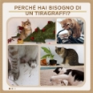 ALBERO TIRAGRAFFI PER GATTI ALTO 136 CM CON CUCCIA RIMOVIBILE, CASETTA E LETTINO, PALI IN IUTA, BEIGE