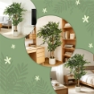PIANTA ARTIFICIALE DI BANIANO VERDE IN PEVA E LEGNO CON VASO CONTENITORE IN PP E CEMENTO, 55X55X120 CM
