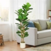 PIANTA DI FICO ARTIFICIALE VERDE IN PEVA E LEGNO CON VASO CONTENITORE IN PP E CEMENTO, 50X50X150 CM