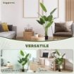 PIANTA ARTIFICIALE DA 160 CM A 10 FOGLIE IN PEVA VERDE CON VASO DA Ï16.5X13.5 CM