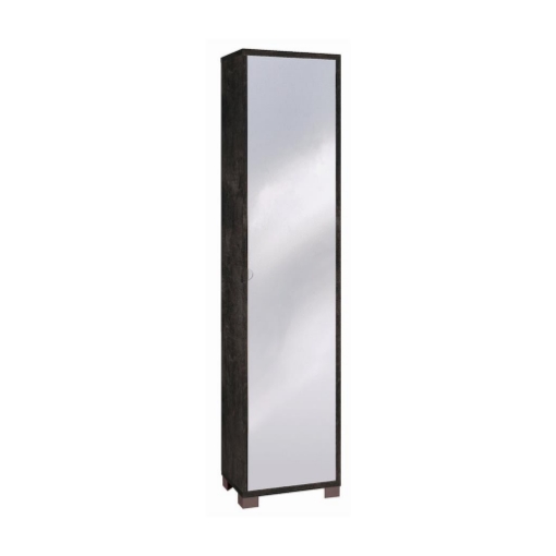 ARMADIO A COLONNA IN LEGNO CON 1 ANTA A SPECCHIO COMPOSTA DA 4 RIPIANI DIMENSIONI 190X43X29 CM, COLORE NERO