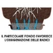 FIORIERA OASI D80XH80 CON SOTTOVASO COTTO CHIARO POLIPROPILENE 