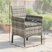 Set di 2 Sedie da Giardino in Rattan con Cuscini e Braccioli, Grigio