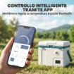 19L Auto Frigorifero Compressore, App Controllo Ideale per Campeggio.