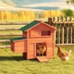 Pollaio in Legno con Nido, Tetto Impermeabile, Vassoio Estraibile, 2 Trespoli, Rampa, Finestra, per 2 Galline, Anatre,Arancione