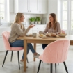 Set 2 Sedie da Pranzo Imbottite con Schienale a Conchiglia in Velluto, 52x55x79 cm, Rosa