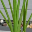 ALBERO ARTIFICIALE DI BANANO 160 CM CON VASO E 10 FOGLIE REALISTICHE, PIANTA FINTE TROPICALE PER DECORAZIONI INTERNI ED ESTERNI, VERDE