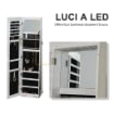 SPECCHIO PORTAGIOIE A LED CON 4 SCAFFALI E SPAZI PORTAOGGETTI, IN LEGNO E VETRO, 15X15X61.75 CM, BIANCO