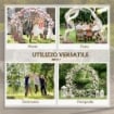 ARCO DA GIARDINO IN ACCIAIO, ARCHETTO NUZIALE ROTONDO PER PALLONCINI E PIANTE RAMPICANTI PER CERIMONIE, COMPLEANNI ED EVENTI, 222X60X224 CM, ORO