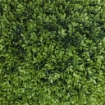 SET DI 2 PIANTE FINTE DI BOSSO IN PE DA Ø40 CM PER INTERNO ED ESTERNO, VERDE