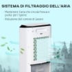 Climatizzatore Raffrescante d'Aria Mobile, Ventilatore Ionizzatore 4 in 1 con Telecomando, Portatile, Silenzioso, Oscillante 60W, CapacitÓ Massima Serbatoio 10L, Ideale Stanze 20 m¦ Massimo, Bianco e 