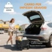 Carrello da Giardino Pieghevole da 41L con 4 Ruote, Carrello da Campeggio in Metallo e Tessuto Oxford con Borsa da Trasporto e Maniglia Girevole e Regolabile, Nero