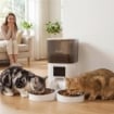 DISTRIBUTORE AUTOMATICO CIBO GATTI 6L WIFI 2.4G, APP CONTROLLO CON TIMER, 1-10 PASTI AL GIORNO, REGISTRATORE 10S, 2 CIOTOLE IN ACCIAIO INOX