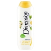 DIMENSION SHAMPOO CAMOMILLA 250 ML – DELICATO PER CAPELLI CHIARI