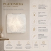 PLAFONIERA 1XE27 VANESSA1 X E27 GANCI CROMATI PIASTRA IN VETRO BIANCO DECORATO CON FOGLIE 30X30 CM 