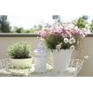 BAMA PORTAVASO PAGLIA 19 CM PANNA