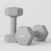 SET 2 MANUBRI ESAGONALI DA 2X6 KG IN METALLO E PLASTICA CON IMPUGNATURA ANTISCIVOLO, 22X10X10 CM, GRIGIO