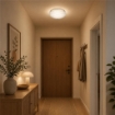 FULVIA LAMPADA PLAFONIERA DA SOFFITTO E27 1 LUCE 30CM