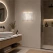 APPLIQUE VANESSA E27 CON MONTATURA ARGENTO VETRO LASTRA DECORATO FANTASIA A FOGLIE 34X22 H CM OKX