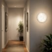 BETTA LAMPADA PLAFONIERA 1 LAMPADINA E27 30 CM CERCHI